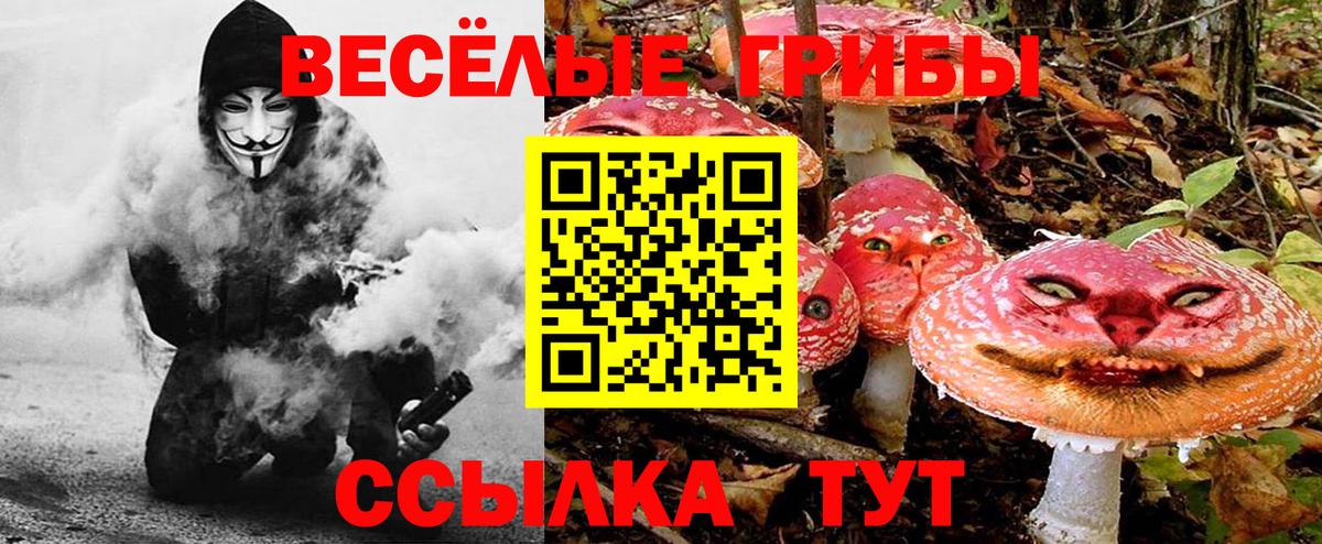 Минеральные Воды  Галлюциногенные грибы мухоморы  Вход с VPN 
