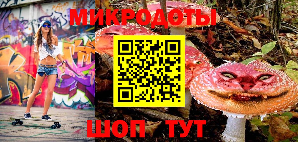 Псилоцибиновые грибы Psilocybine cubensis Минеральные Воды